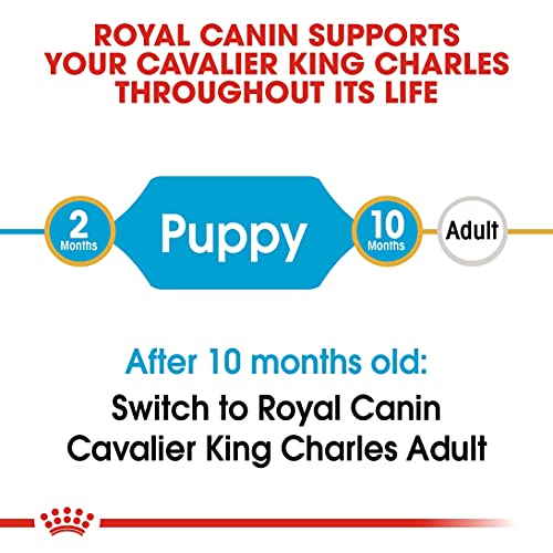 Pienso cachorro Cavalier King Charles 1,5 kg