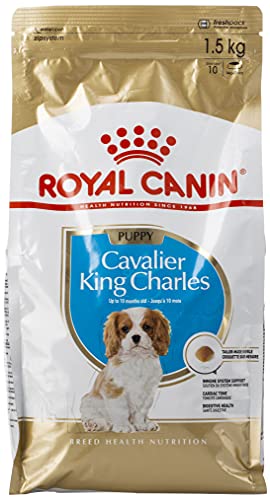 Pienso cachorro Cavalier King Charles 1,5 kg