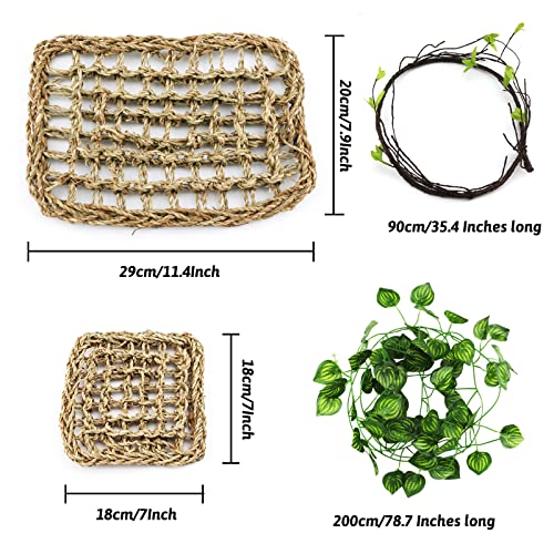 PietyPet Decoración para terrario camaleón, Gecko, espacio de vida, 2 piezas, hamaca, reptiles, hojas, plantas colgantes, accesorios