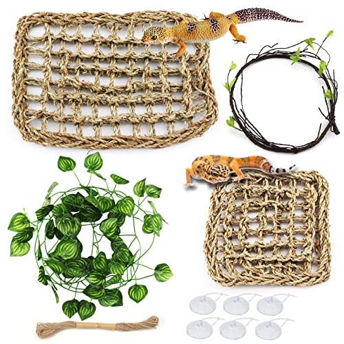 PietyPet Decoración para terrario camaleón, Gecko, espacio de vida, 2 piezas, hamaca, reptiles, hojas, plantas colgantes, accesorios