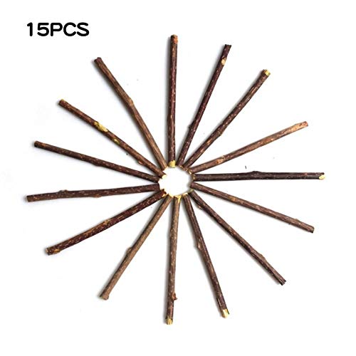 PiniceCore 15pcs Natural Hierba Gatera Gato del Animal Doméstico Molar De Pasta De Dientes Palillo De Actinidia Fruta Silvervine Gato Snacks Palitos De Limpieza De Los Dientes del Animal Doméstico