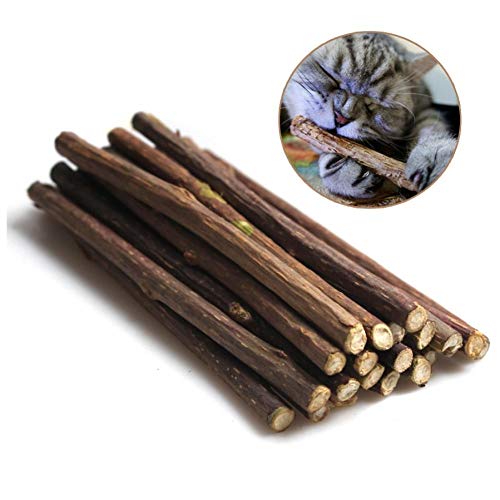 PiniceCore 15pcs Natural Hierba Gatera Gato del Animal Doméstico Molar De Pasta De Dientes Palillo De Actinidia Fruta Silvervine Gato Snacks Palitos De Limpieza De Los Dientes del Animal Doméstico