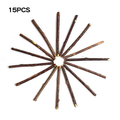 PiniceCore 15pcs Natural Hierba Gatera Gato del Animal Doméstico Molar De Pasta De Dientes Palillo De Actinidia Fruta Silvervine Gato Snacks Palitos De Limpieza De Los Dientes del Animal Doméstico