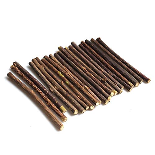 PiniceCore 15pcs Natural Hierba Gatera Gato del Animal Doméstico Molar De Pasta De Dientes Palillo De Actinidia Fruta Silvervine Gato Snacks Palitos De Limpieza De Los Dientes del Animal Doméstico
