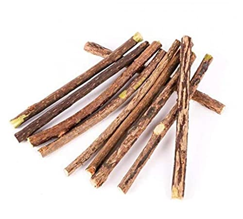Pinicecore 20 Unids Catnip Sticks Gato Masticar Juguetes Natural Matatabi Silvervine Sticks Limpieza Dientes Gato Molar Herramientas Gatito Catnip Stick