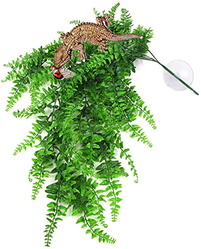 PINVNBY Plantas de reptiles colgantes viñas falsas Boston escalada terrario planta con ventosa para dragones barbudos, animales domésticos, cangrejo ermitaño y decoración de tanque (4 unidades)