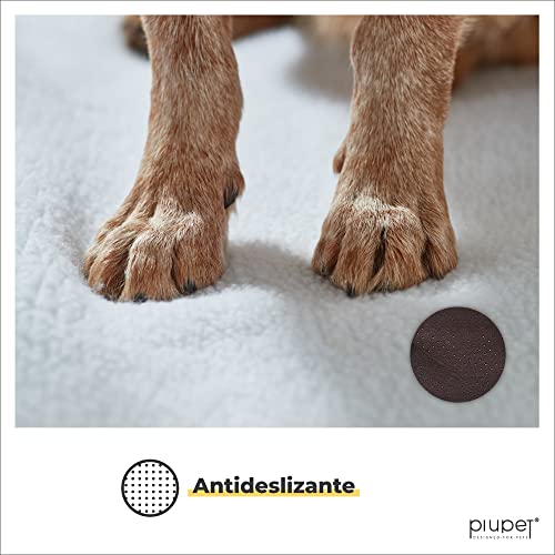 PiuPet® Manta térmica para Perros, Autocalentado - sin Electricidad y baterías, Cojín de Calor, Innovador e ecológico (90x60cm, para Perros)