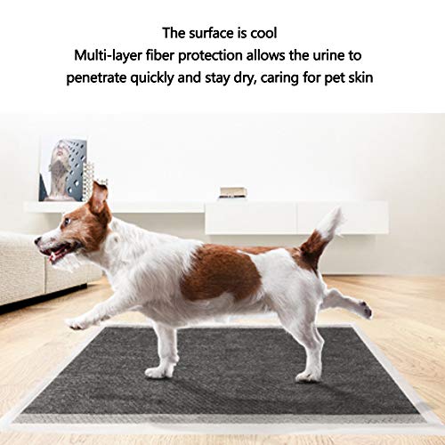 PJDDP Entrenamiento Mascotas Carbono y Almohadillas para Cachorros con desodorización con carbón Activado, desviación Sangrado para alfombras para Mascotas,XL