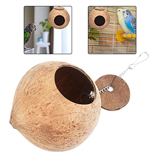 PJKKawesome Shell Pájaro Nido Loro Anidamiento Pájaro Casa Colgante Cadena Jaula Masticar Juguete