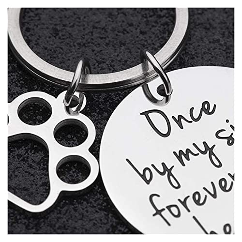 Placas Para Perros Perro gato mascotas etiquetas recuerdo de las etiquetas de identificación de mascotas para las mujeres recuerdo para las mujeres hombres una vez a mi lado para siempre en mi corazón