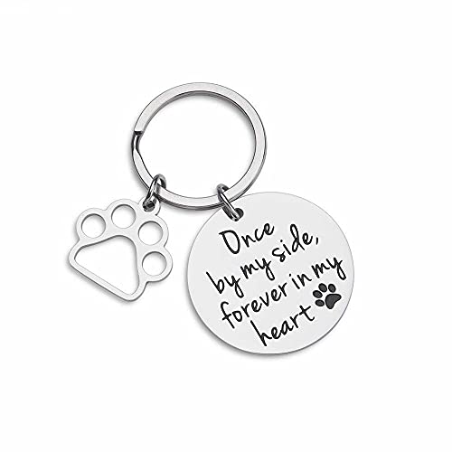 Placas Para Perros Perro gato mascotas etiquetas recuerdo de las etiquetas de identificación de mascotas para las mujeres recuerdo para las mujeres hombres una vez a mi lado para siempre en mi corazón