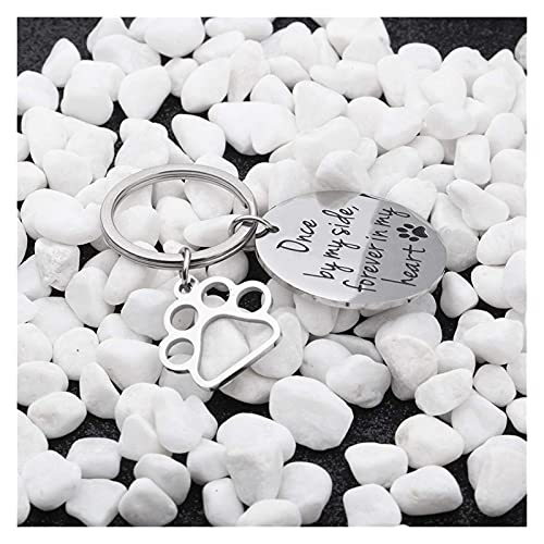Placas Para Perros Perro gato mascotas etiquetas recuerdo de las etiquetas de identificación de mascotas para las mujeres recuerdo para las mujeres hombres una vez a mi lado para siempre en mi corazón