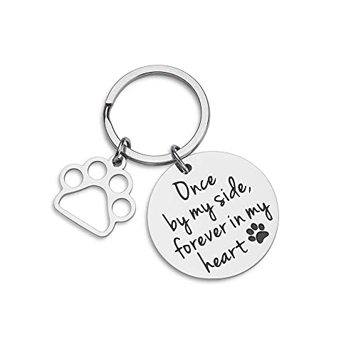 Placas Para Perros Perro gato mascotas etiquetas recuerdo de las etiquetas de identificación de mascotas para las mujeres recuerdo para las mujeres hombres una vez a mi lado para siempre en mi corazón