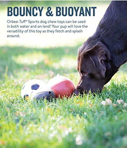 Planet Dog Orbee-Tuff - Juguete con dispensador de recompensas para perros - Pelota de baloncesto