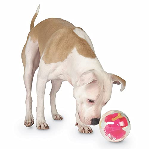 Planet Dog Orbee-Tuff Mazee - Dispensador de recompensas con forma de laberinto - Rompecabezas para perros - Rosa