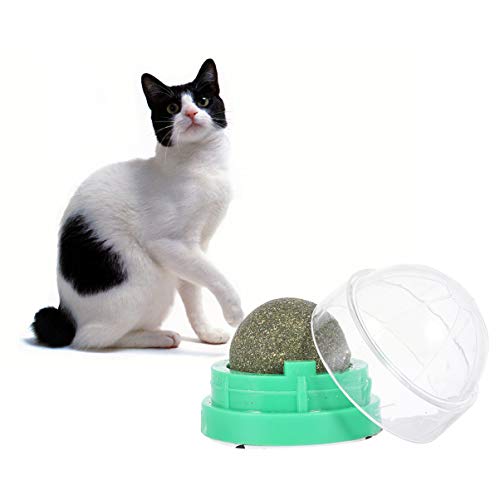 POPETPOP 2 Piezas Gato Lamiendo Bola de Menta Gato Natural Giratorio Catnip Caramelo Actinidia Polygama Bocadillos para Gatos Ayudas Digestivas Gato Trata Suministros para Mascotas para