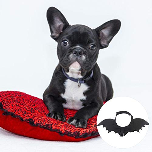 POPETPOP Mascota Alas de Murciélago Gato Perro Bruja Juego de Roles ala Negra Disfraz Foto Prop Cachorro Gato Vestir Accesorios para Perro Cachorro Gato Gatito Grande
