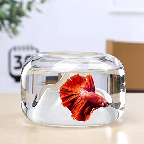 POPETPOP Tarro de Cristal Betta Pecera de Montaña de Nieve Pez Dorado Acuario Mini Pecera Florero Transparente Maceta de Escritorio Tazón Redondo Acuario Decoración para El Hogar Sala de