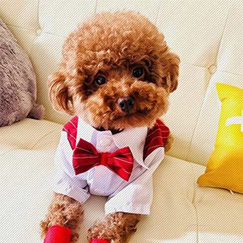 Poseca Camisa con Pajarita para Perro Trajes de Esmoquin para Perro Ropa para Caballero Perro Gato Traje de Boda Camisa Formal para Perros pequeños Traje de Esmoquin con Pajarita