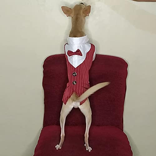 Poseca Camisa con Pajarita para Perro Trajes de Esmoquin para Perro Ropa para Caballero Perro Gato Traje de Boda Camisa Formal para Perros pequeños Traje de Esmoquin con Pajarita