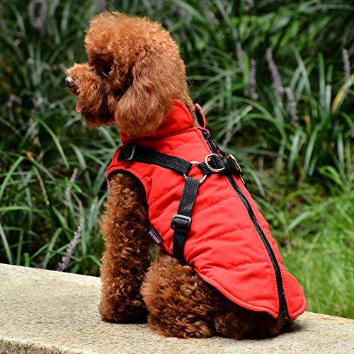Poseca Chaqueta de Abrigo para Perros con arnés para Perros pequeños y medianos Chaqueta de Abrigo para Perros a Prueba de Agua Chaleco Acolchado cálido Mascota Cachorro de Perro Ropa Chaleco