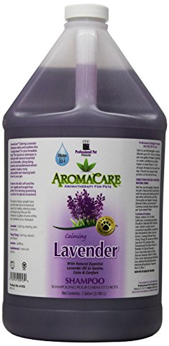 PPP Champú calmante Aromacare con Aroma de Lavanda, 3,8 litros
