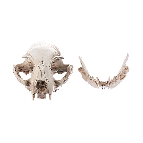 PRETYZOOM Animal Cráneo Araña Madera Acuario Peces Esqueleto Decoración del Tanque Gato-Gato de La Suerte Esqueleto Resina Animal Fortuna Gato Calavera Decoración