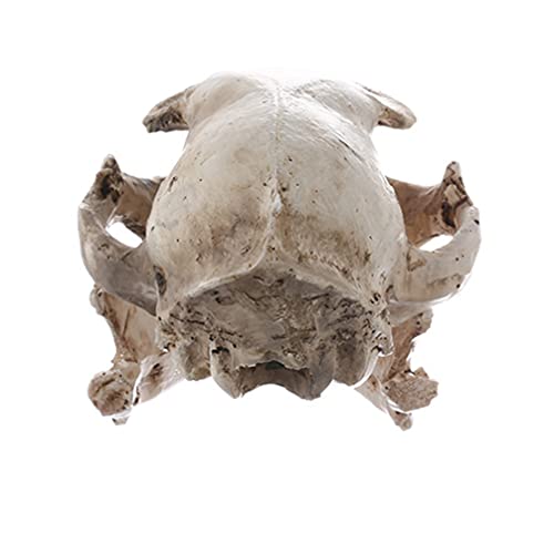 PRETYZOOM Animal Cráneo Araña Madera Acuario Peces Esqueleto Decoración del Tanque Gato-Gato de La Suerte Esqueleto Resina Animal Fortuna Gato Calavera Decoración