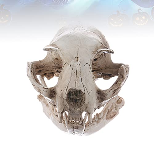 PRETYZOOM Animal Cráneo Araña Madera Acuario Peces Esqueleto Decoración del Tanque Gato-Gato de La Suerte Esqueleto Resina Animal Fortuna Gato Calavera Decoración