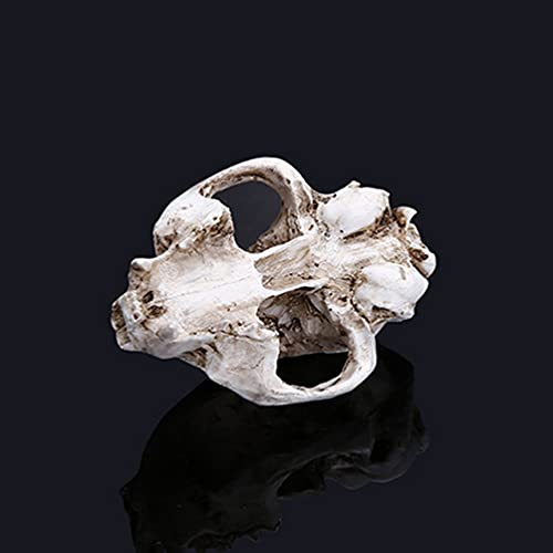 PRETYZOOM Animal Cráneo Araña Madera Acuario Peces Esqueleto Decoración del Tanque Gato-Gato de La Suerte Esqueleto Resina Animal Fortuna Gato Calavera Decoración