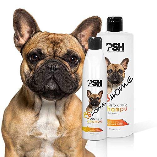 PSH Champú Pelo Corto - 500 ml