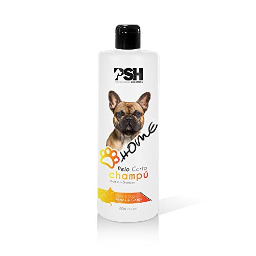 PSH Champú Pelo Corto - 500 ml