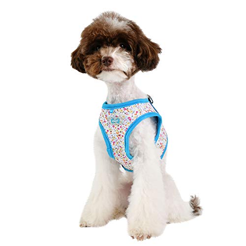 PUPPIA - Arnés para Perros Wildflower Harness B, Celeste, XL
