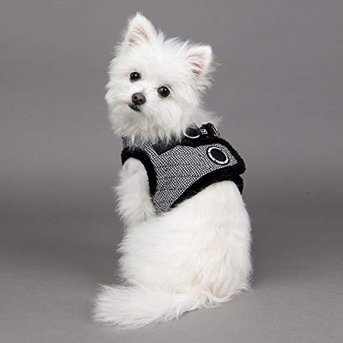 Puppia Gaspar Arnés B - Negro - M