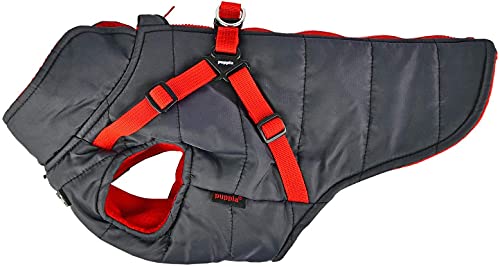 Puppia PAPD-VT1366-GY-M Mountaineer II - Abrigo para Mascotas, Color Gris, Mediano
