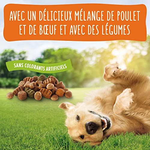 Purina Friskies - Báscula de Pollo para Perros Adultos (10 kg)