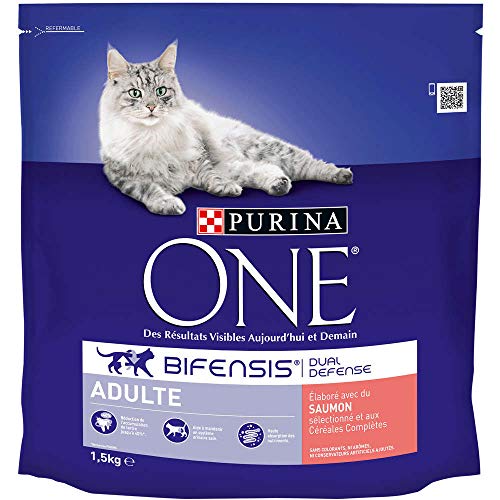 PURINA ONE – Pienso para Gatos Adulto Talla & Sabor Elegir 1,5 kg – Lote de 6 (9 kg)