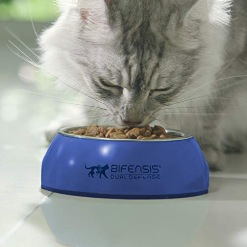 Purina ONE Senior 7+ alimento seco para Gatos de Pollo 3 kg (Caja de 4)