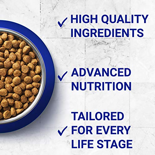 Purina ONE Senior 7+ alimento seco para Gatos de Pollo 3 kg (Caja de 4)