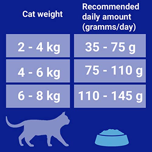 Purina ONE Senior 7+ alimento seco para Gatos de Pollo 3 kg (Caja de 4)