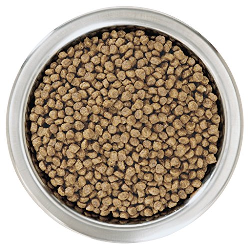 PURINA Pro Plan Comida Seco para Cachorros Pequeños y Mini con Optistart, Sabor Pollo - 700 g