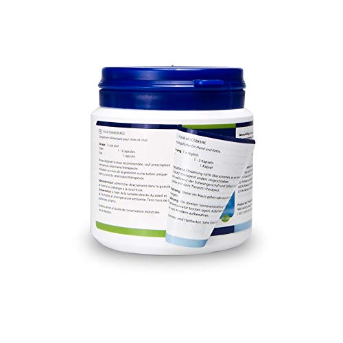 Puur L-Lisina para perros y gatos - 50g