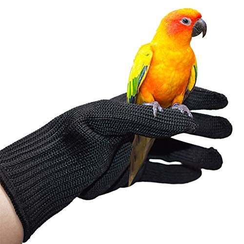 QBLEEV Guantes antimordeduras para entrenamiento de pájaros, guantes protectores de trabajo para masticar loro..