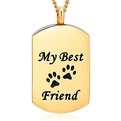 QFV Etiqueta de Perro Tallada de mi Mejor Amigo, joyería de cremación de Acero Inoxidable para Cenizas de Perro/Gato, Recuerdo, Collar de urna Conmemorativa para Mascotas