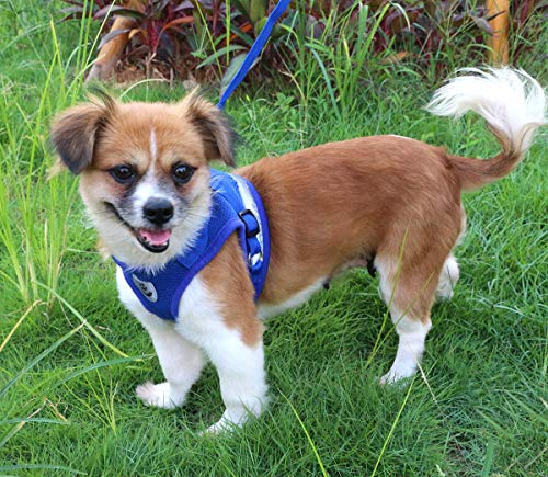 QiCheng&LYS Chaleco de Viaje Regular de Malla Transpirable con Cinturón de Seguridad para Perros y Gatos Chaleco de Seguridad para Mascotas (Azul, XS)