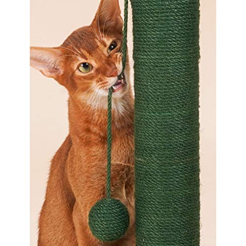 QIFFIY Arbol Gato Torre Gatos 26"Alto Cactus Cat Rasguing Post For Kittens Adult Gatos, Jute Scratch Pole Cactus Catw Glaw Scrapidor con una Bola de Yute Colgante