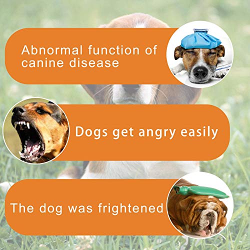 QINGD Aceites Esenciales calmantes para Perros y Gatos Gotas calmantes orgánicas Naturales Seguro Mezcla calmante eficaz para la ansiedad para la separación del Trueno CREA una Experiencia