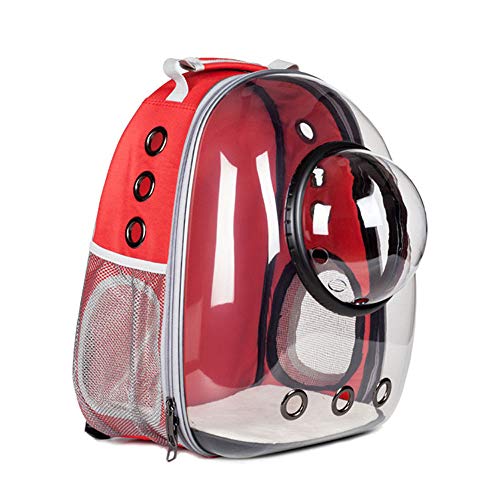 QINGTIAN Portador de Mochila para Gatos Mochila Grande y Transparente para Mascotas,Mochila portátil para Mascotas,para Mascotas,Senderismo,Caminar,Andar en Bicicleta y al Aire Libre