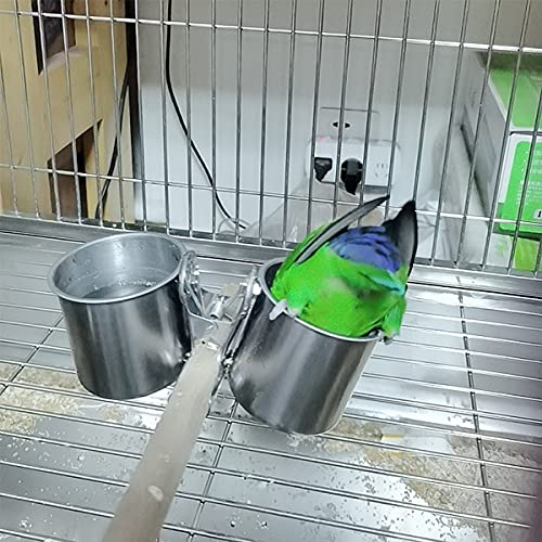 Qixuer 2 Piezas Taza de Alimentación de Loros,Comedero para Pájaros de Acero Inoxidable Cuenco de Comida Colgante con 2 Piezas de Acero Inoxidable Alimentación Parrot Cuchara para Loros de Aves