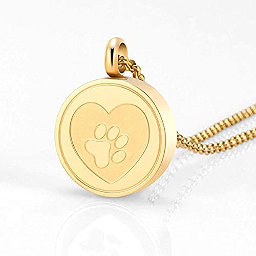 QJZM Collar de cenizasStainless Acero Cremación urna Locket Collar Hold Perro/Gato Ceniza Ataúd Joyería de recuerdo - Silver_Engrave